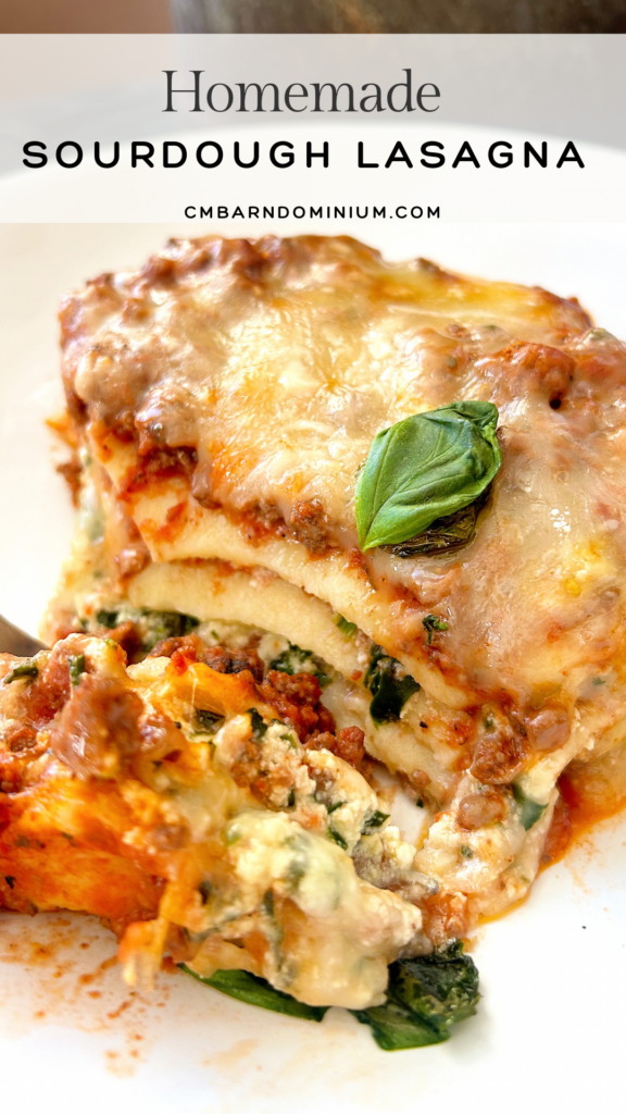 a piece of lasagna  on a white plate