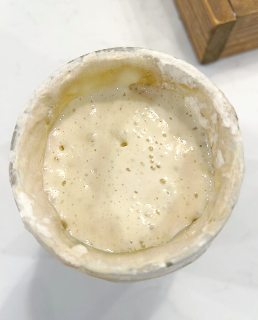 sourdough starter in a jar