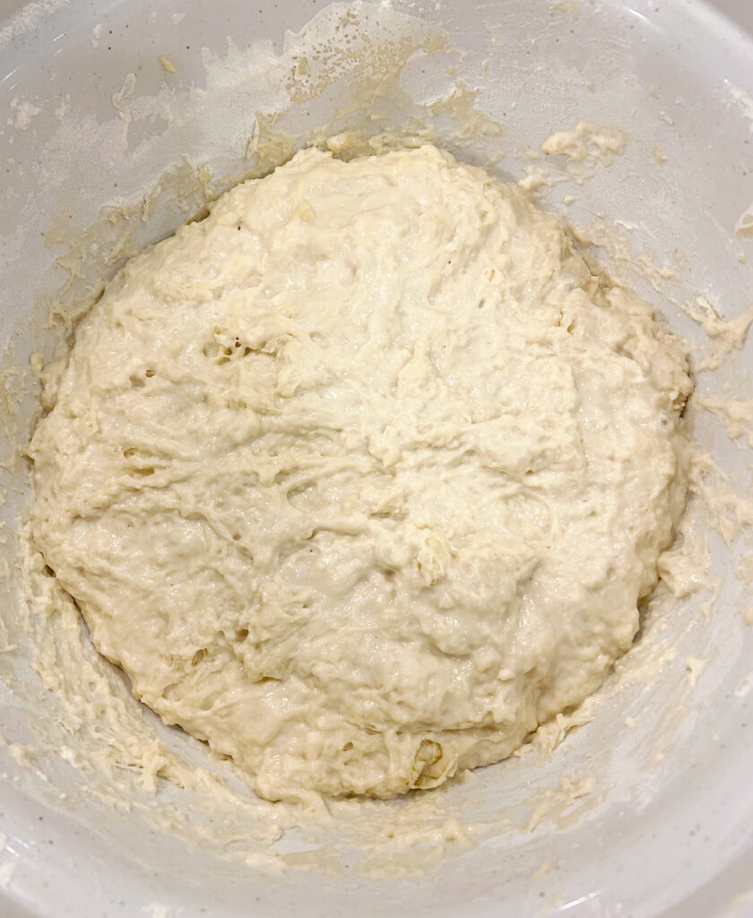 bowl of shaggy bread dough