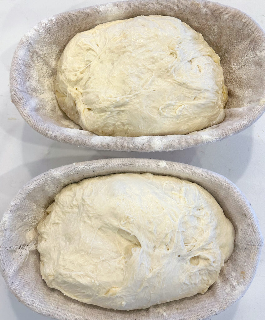 dough folded in a banneton 