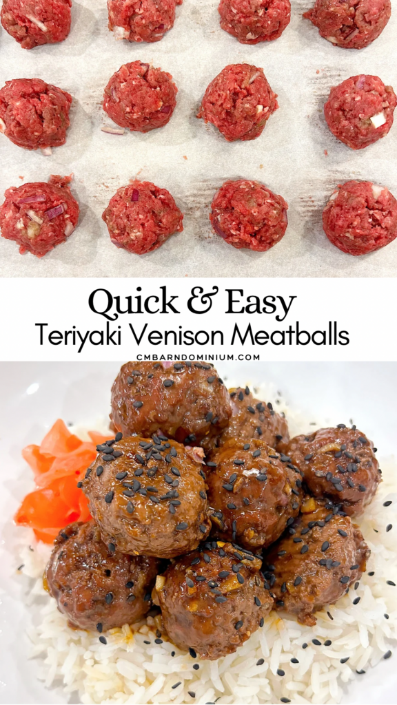 meatballs with sauce over rice