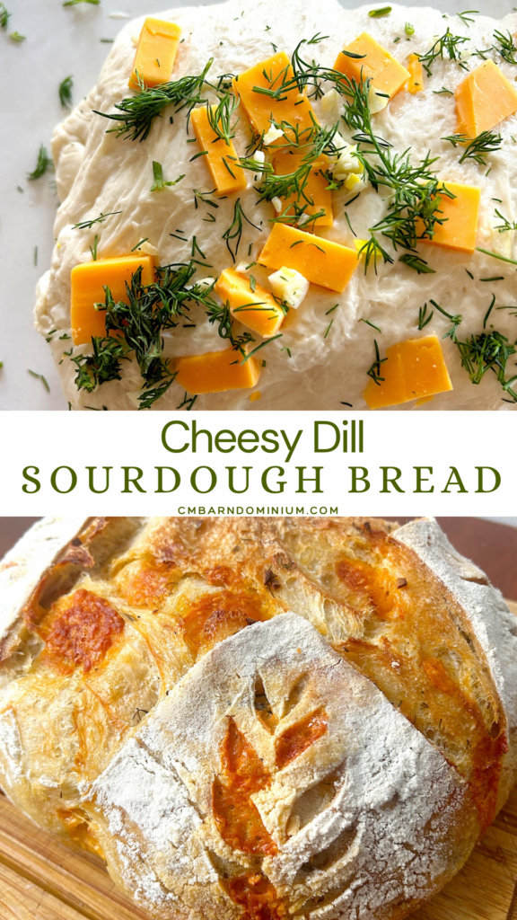 sourdough bread with cheese, garlic and dill 
