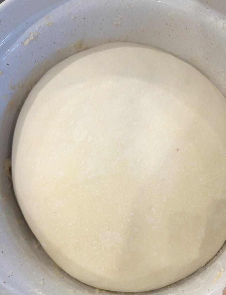 sourdough bread dough after bulk fermentation