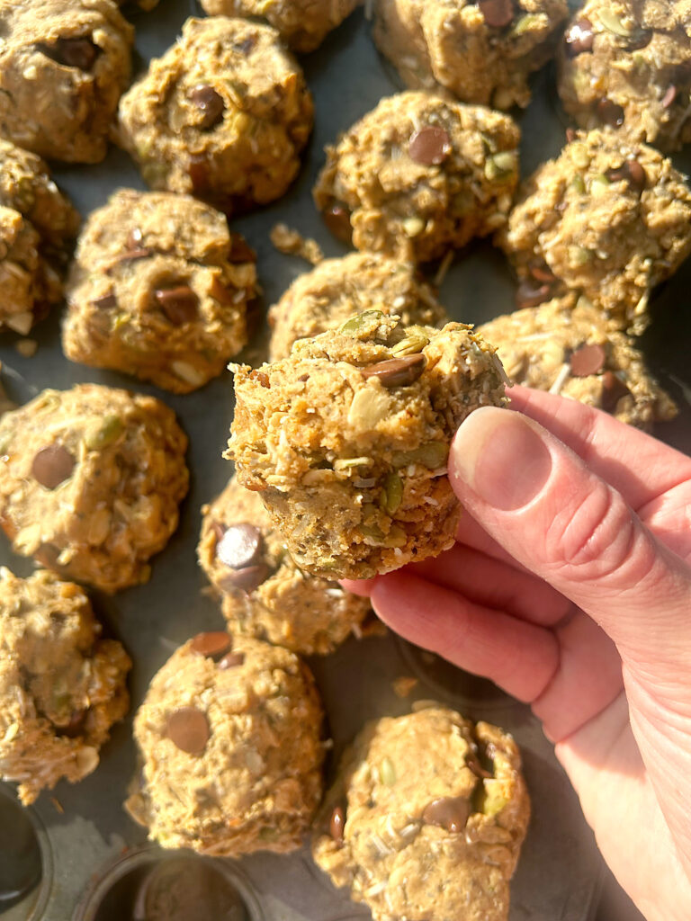 penut butter protein bies with choocolate chips