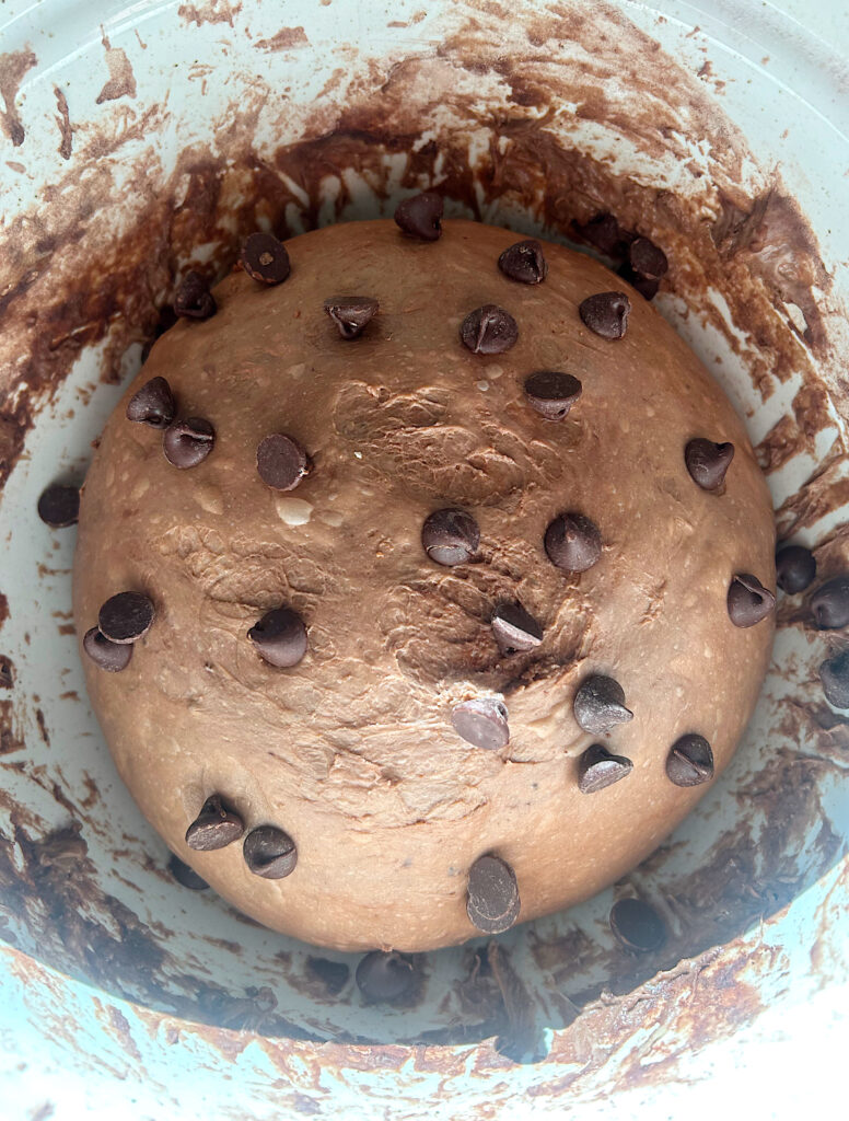 chocolate sourdough bread dough with choclate chips in a white bowl