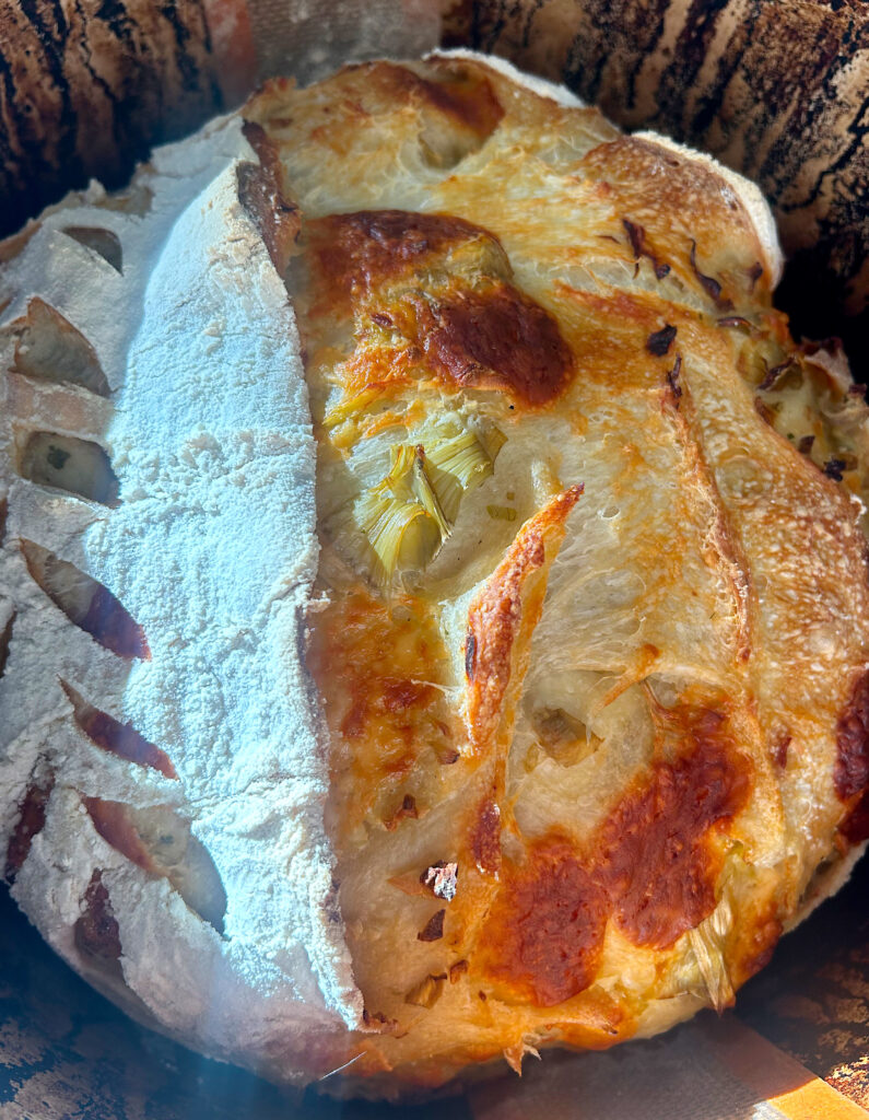 baked cheesy sourdough in a dutch oven