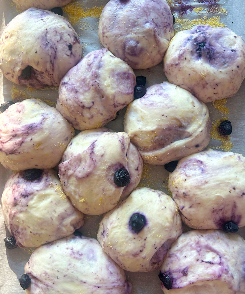 proofed blueberry english muffins unbaked 