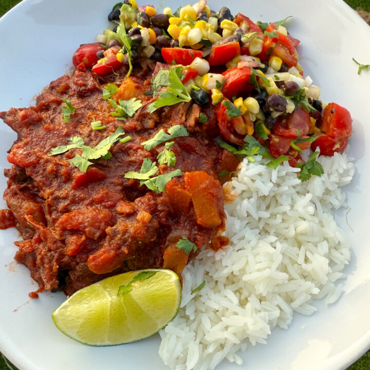 bowl of rice, chipotle pineapple venison and fresh corn and avocado salsa