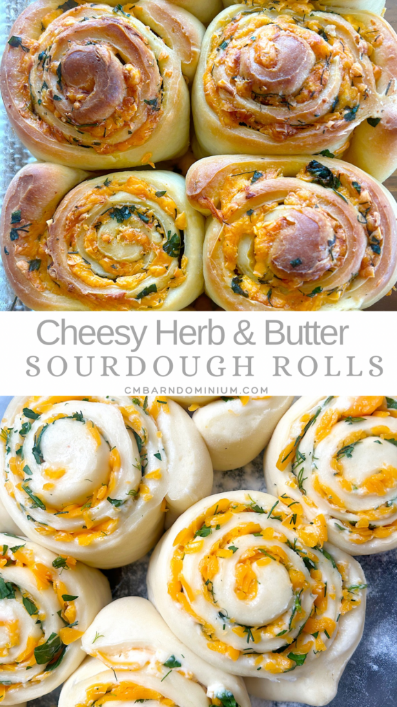 sourdough rolls with cheese and herbs inside