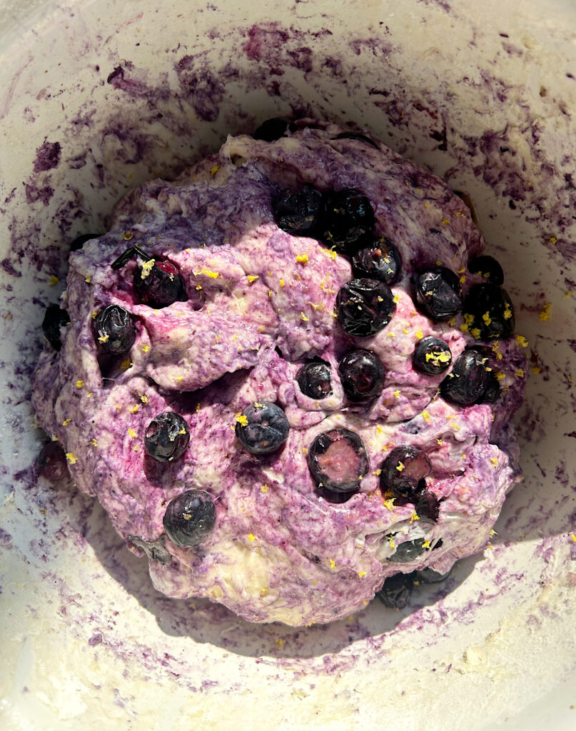 blueberry sourdough english muffin dough in a white bowls