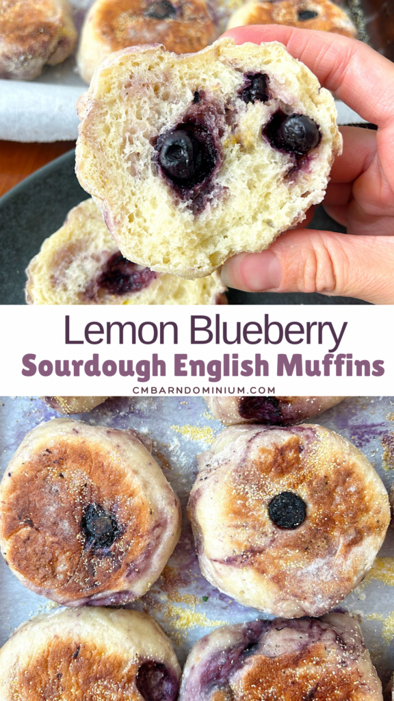 blueberry sourdough english muffins cut in half 