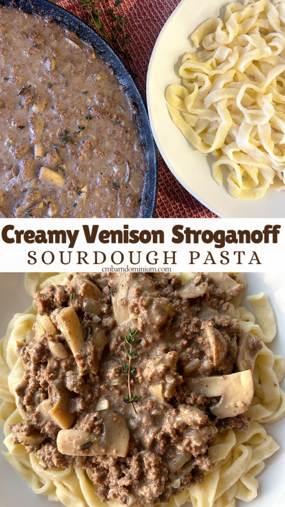 pasta topped with creamy mushroom and venison sauce 