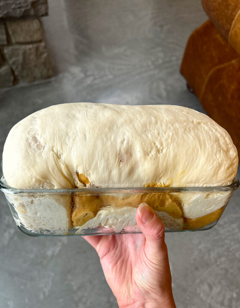 bread dough in a loaf pan after its final rise