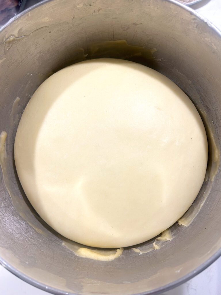 a stainless steel bowl full of bread dough