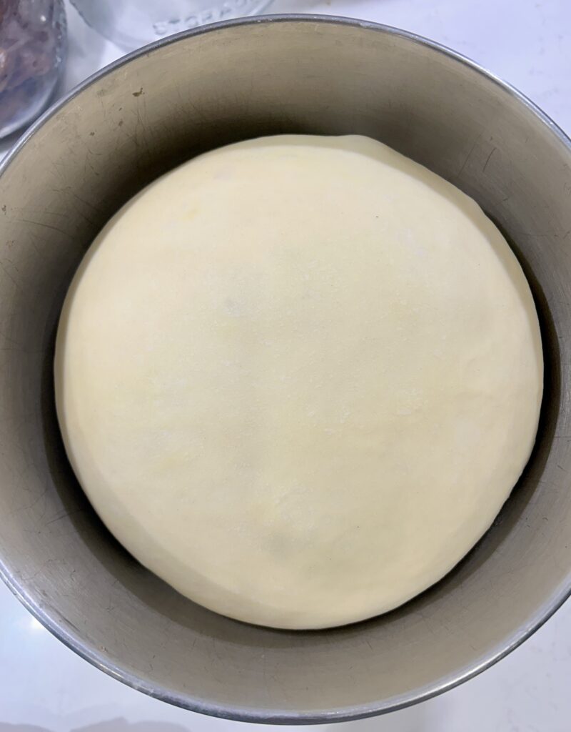 a bowl of risen dough