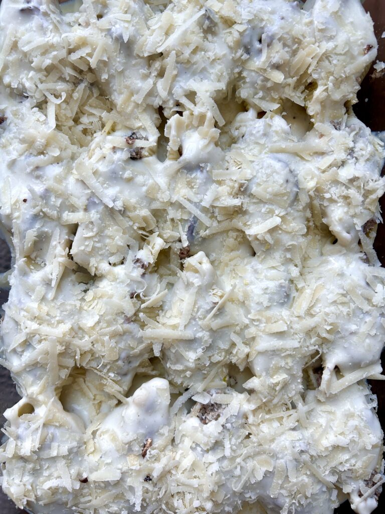 pasta shells in a baking dish with creamy alfredo sauce and parmesan cheese