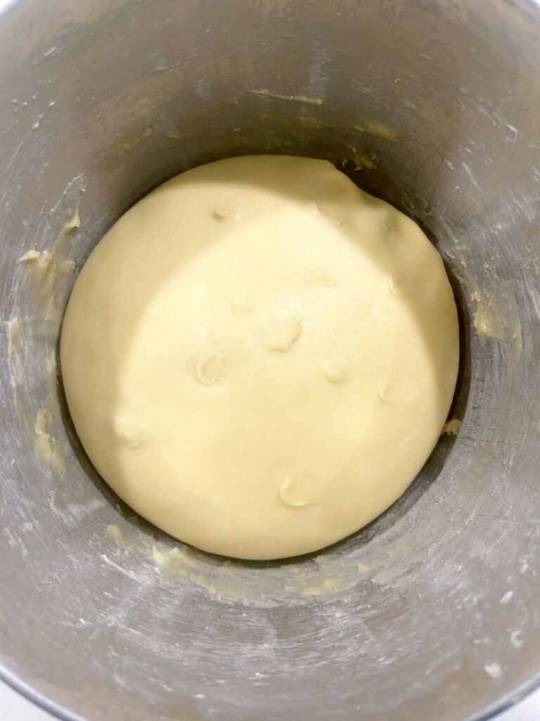 a stainless bowl of risen bread dough