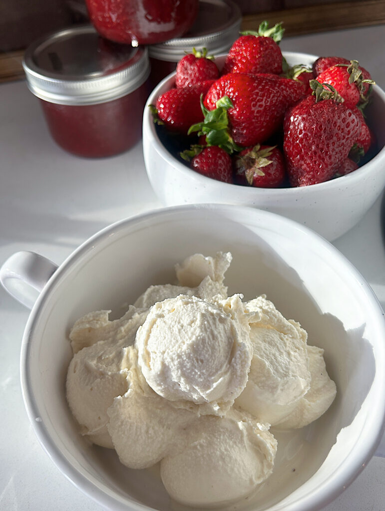 a white bowl of vanilla ice cream