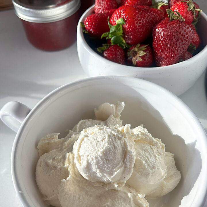 a white bowl of vanilla ice cream