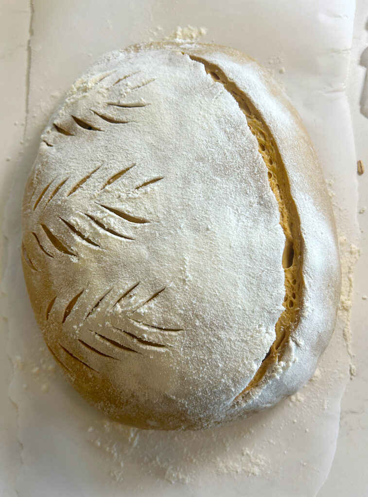 a loaf of unbaked sourdough bread