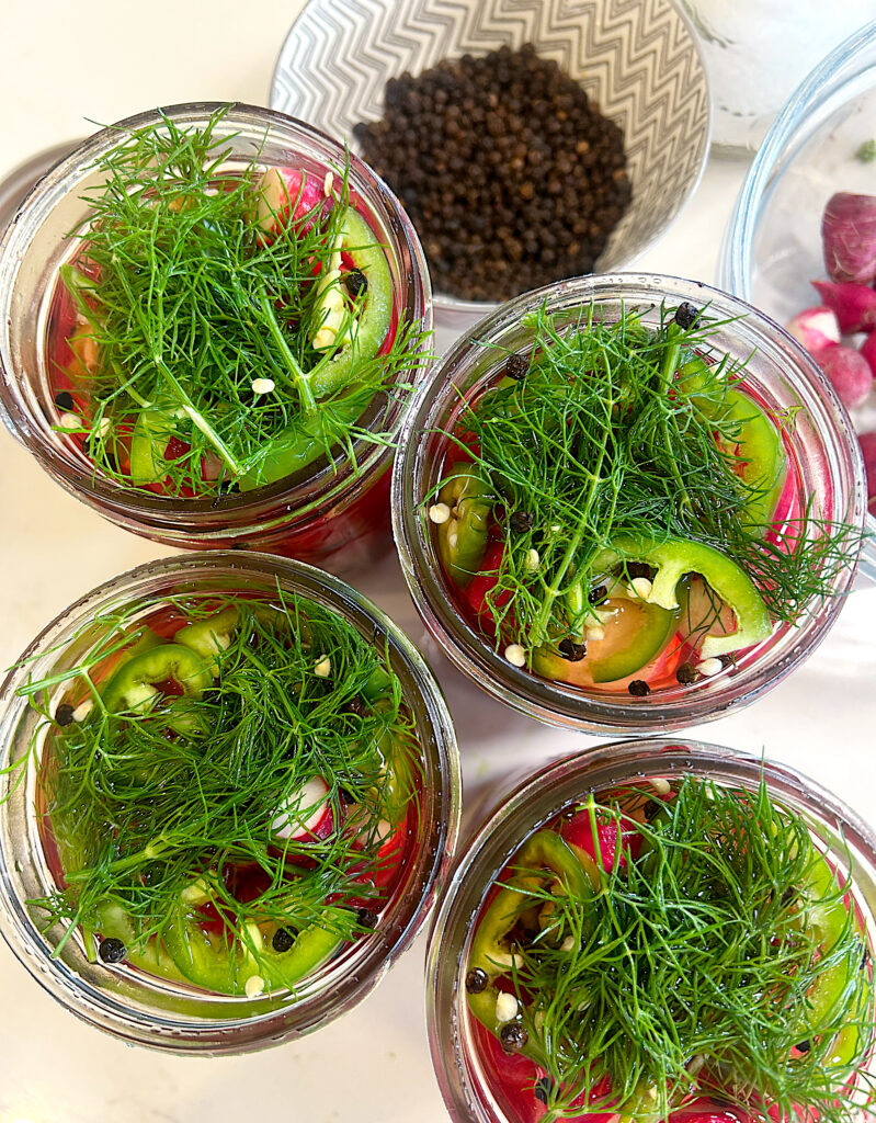 four jars of pickles with fresh dill and no lid