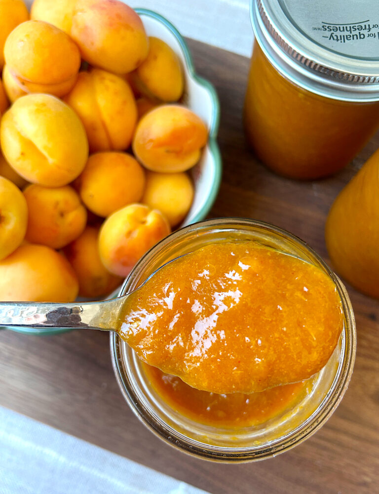 Easy Sweet & Tangy Apricot BBQ Sauce