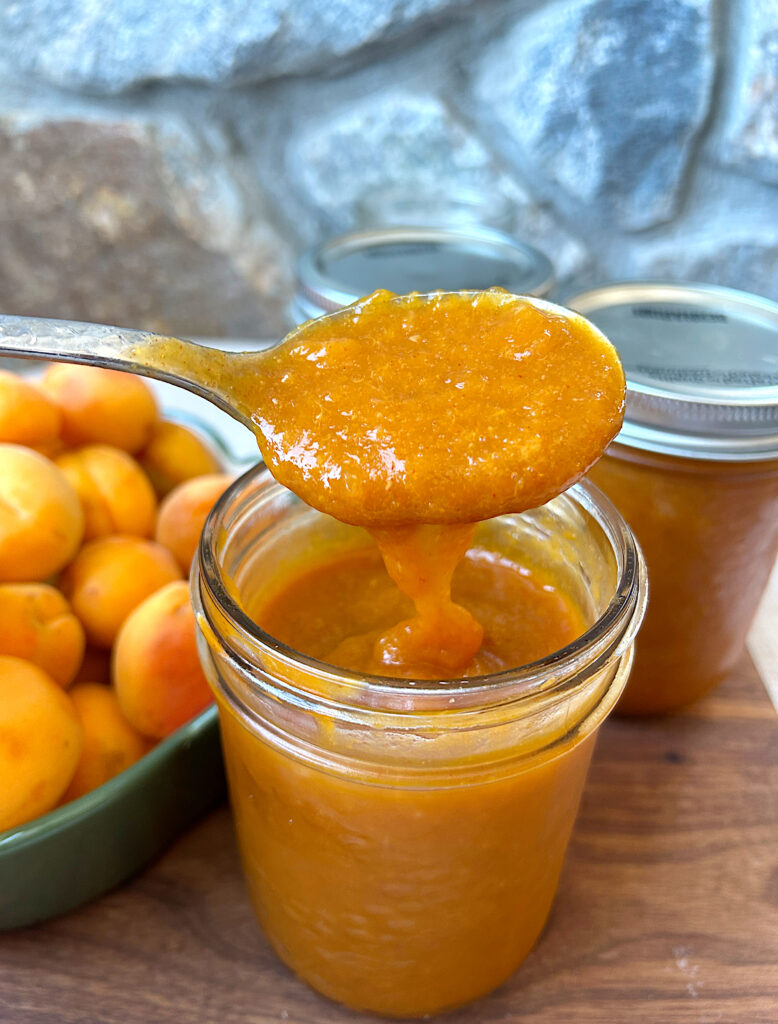 a jar of bbq sauce with a spoon 