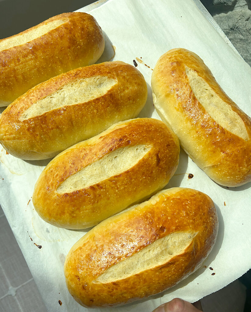 a baking sheet of golden baked sourdough hoagie rolls