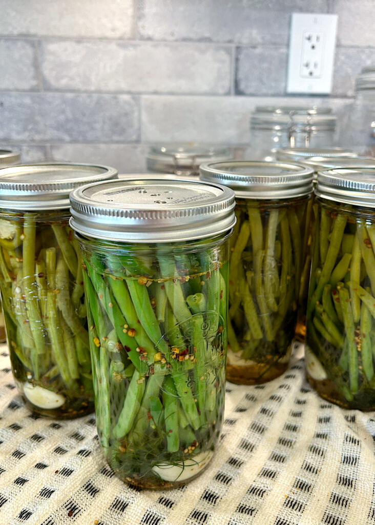 tall jars full of spicy homemade pickled green beans