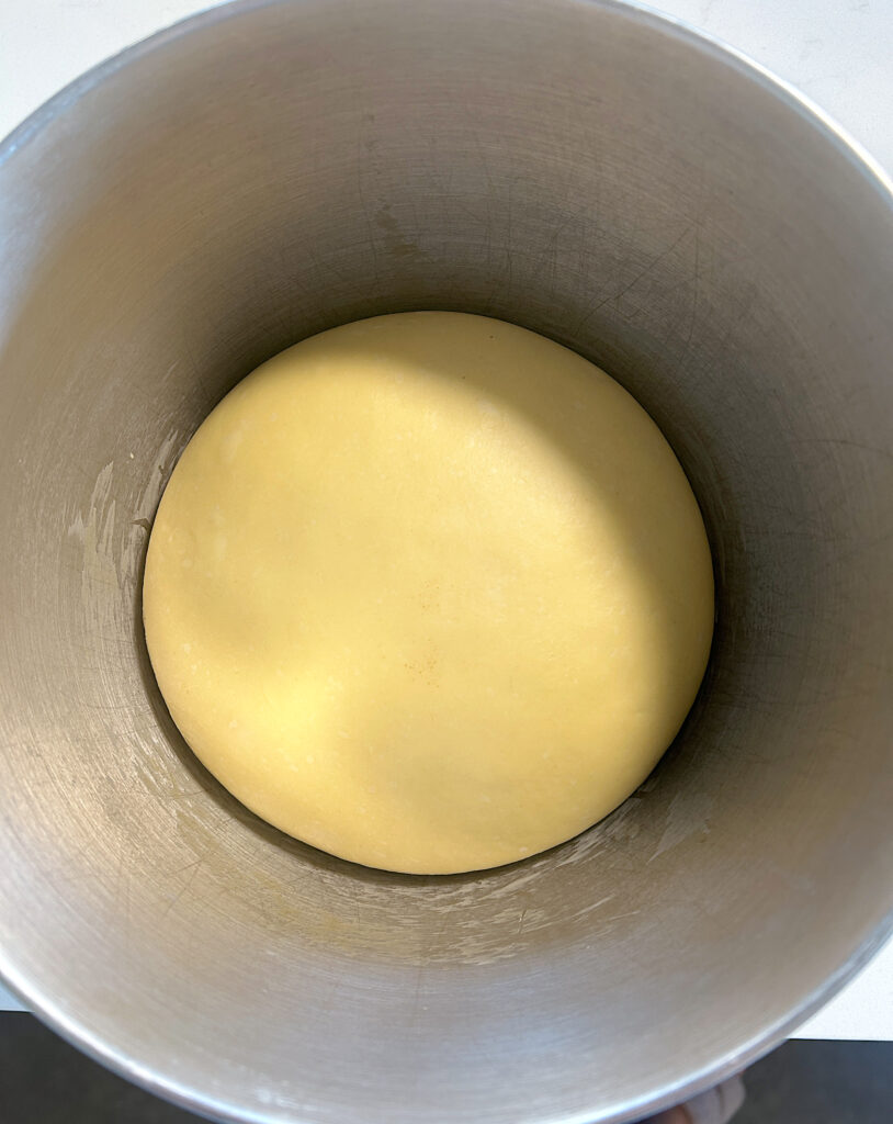 a stainless bowl of risen bread dough