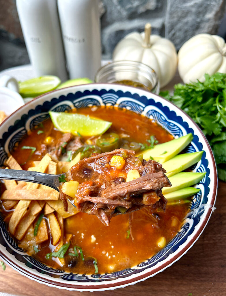 a spoonful of tortilla soup with corn, black beans and shredded meat