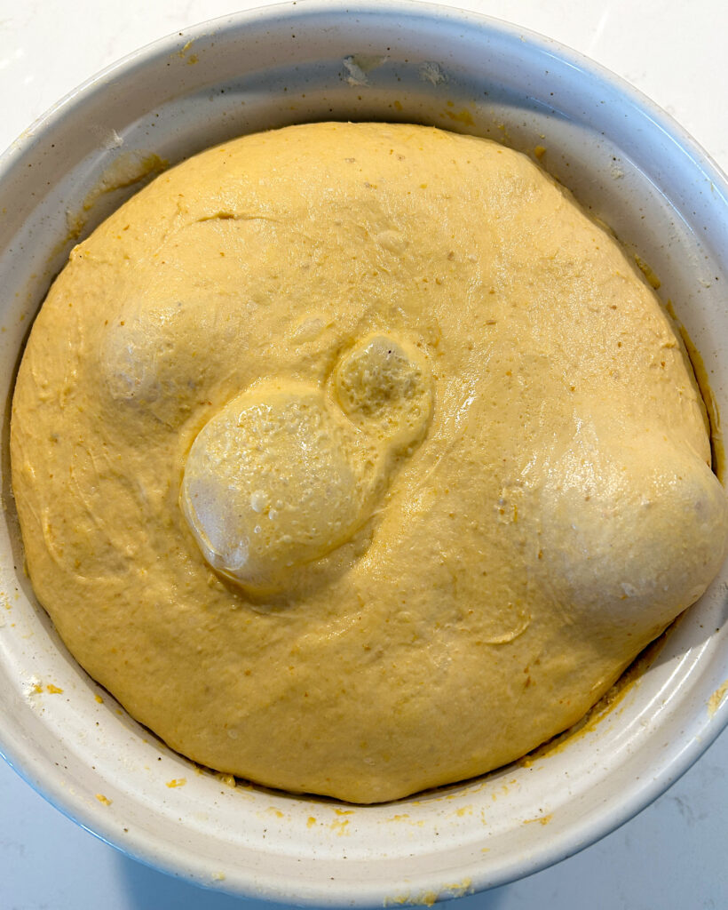 a bowl of pumpkin bread dough